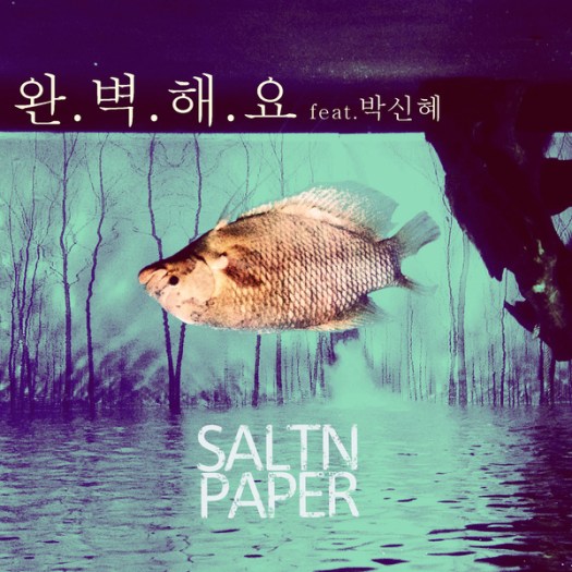 saltnpaper