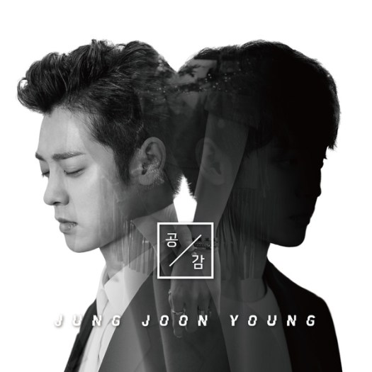 jung joon young - sympathy